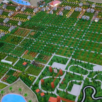 Scale layout model showing DTCP-approved residential plots